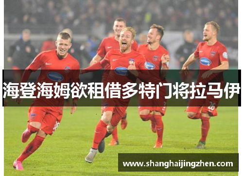 海登海姆欲租借多特门将拉马伊